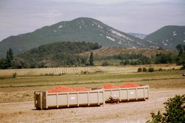 image/france05.jpg