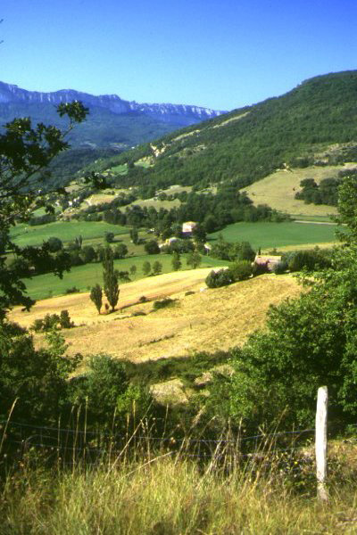 image/france10.jpg-1121.jpg