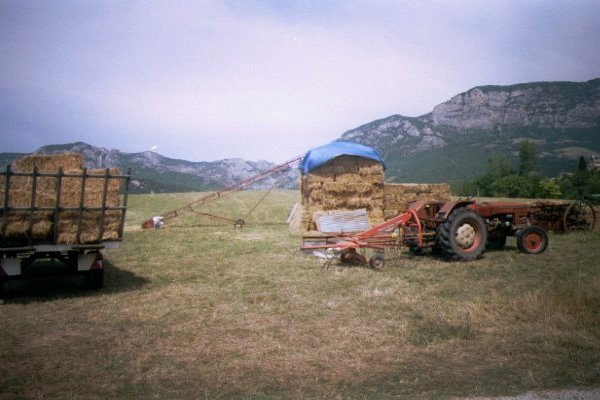 image/image01.jpg-2059.jpg
