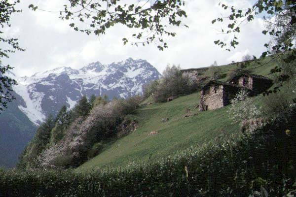 image/italy04.jpg