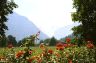 image/_swiss07.jpg