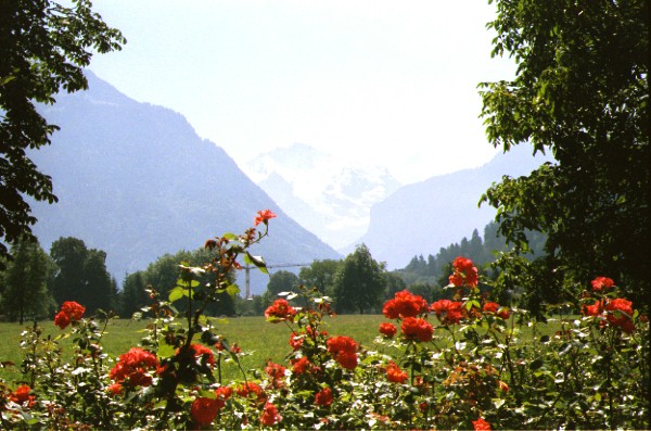 image/swiss07.jpg