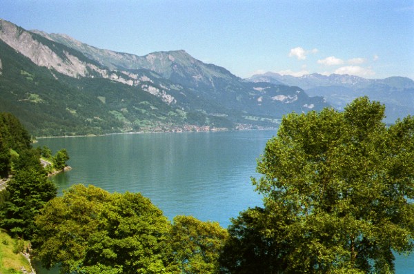 image/swiss08.jpg