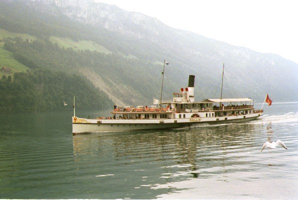image/swisse06.jpg
